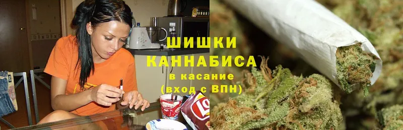 Бошки Шишки SATIVA & INDICA  Благодарный 